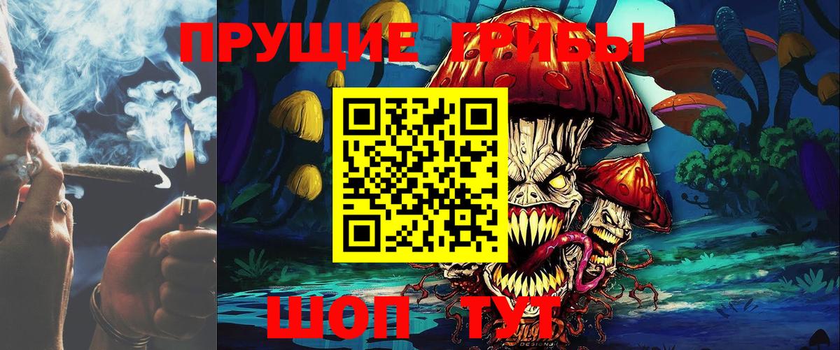 Галлюциногенные грибы мицелий  Галлюциногенные грибы Psilocybe  Вход с VPN  Зеленогорск 