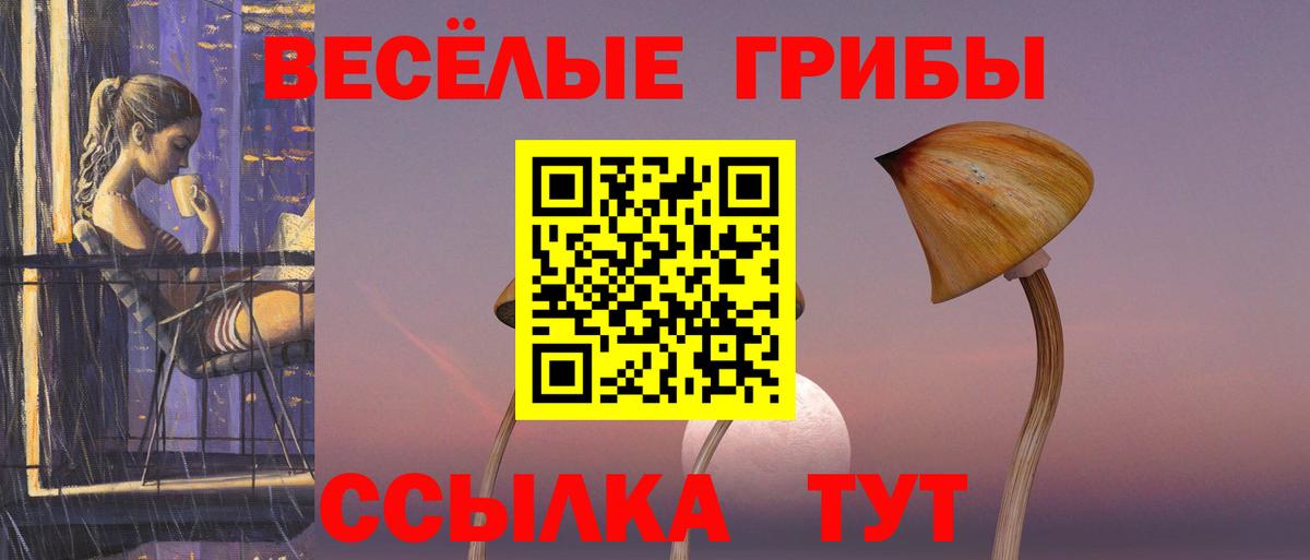Псилоцибиновые грибы ЛСД Зеленогорск